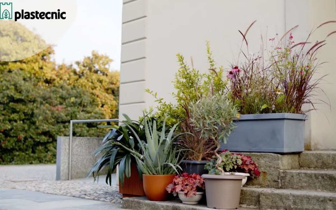 Rinvaso: come e quando farlo per far stare bene le tue piante