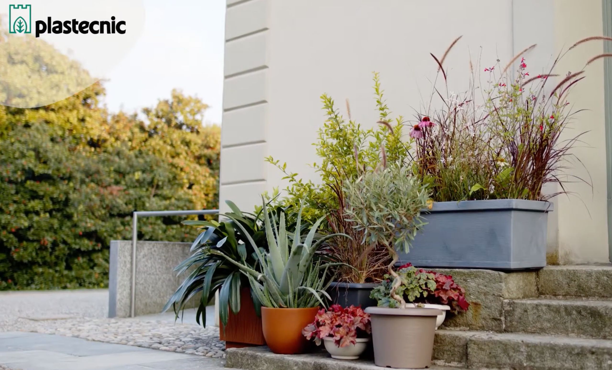 Il rinvaso cover Il rinvaso cover