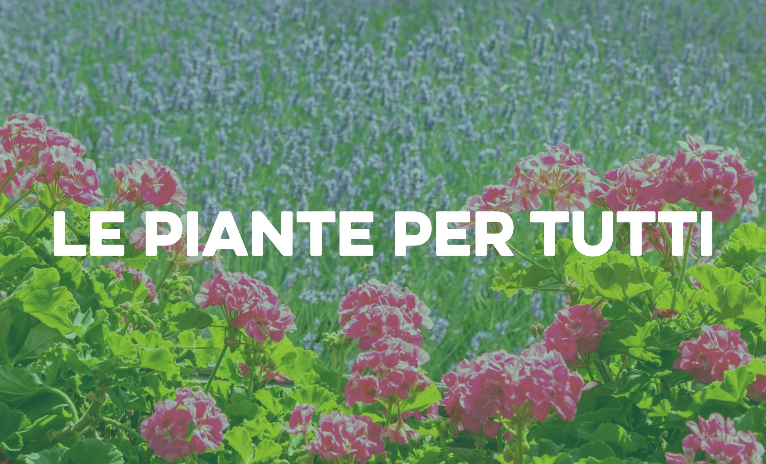 Piante per tutti cover