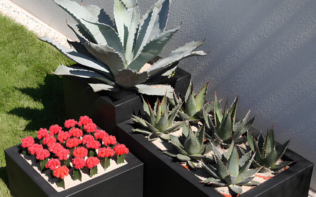Bento Box Gardening: il nuovo modo di progettare il verde
