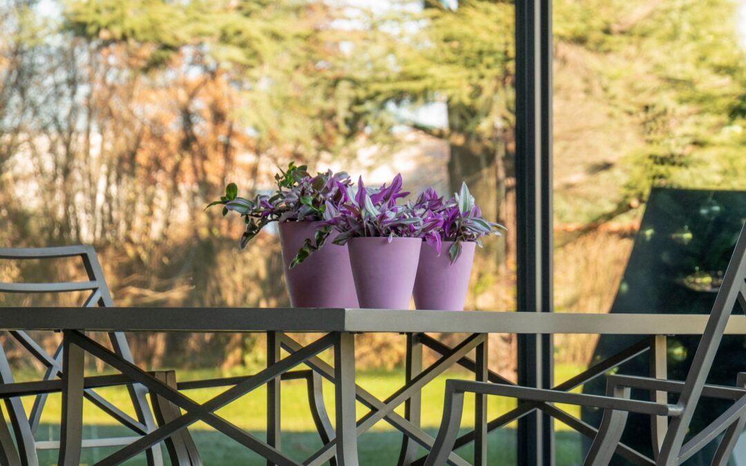 Primavera in vaso: piante e idee per rinnovare balconi e terrazzi