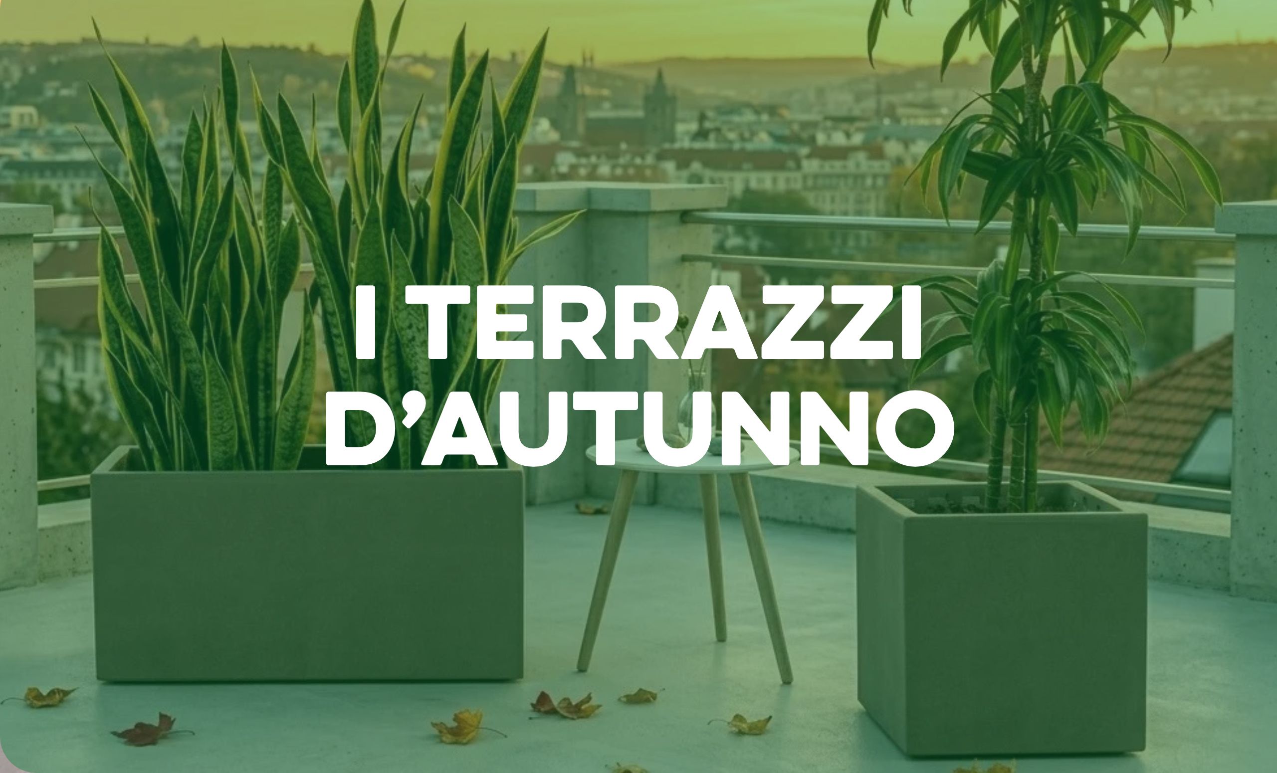 Terrazzi d'autunno